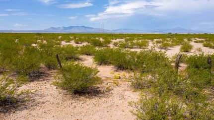 Undeveloped Land in Cochise County, Arizona