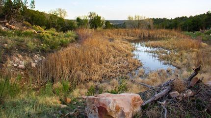 Farm and Ranch in San Juan County, Utah