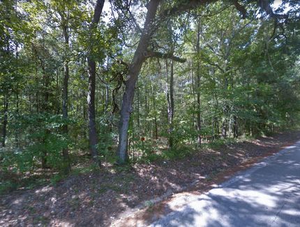 Undeveloped Land in San Jacinto County, Texas
