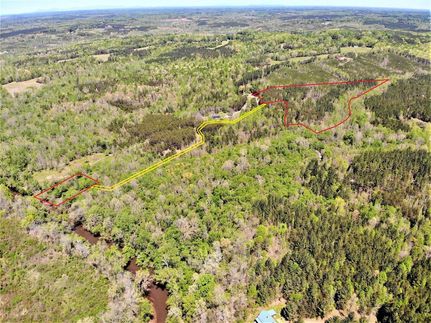 Undeveloped Land in Halifax County, Virginia