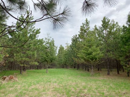 Timberland Property in Kootenai County, Idaho