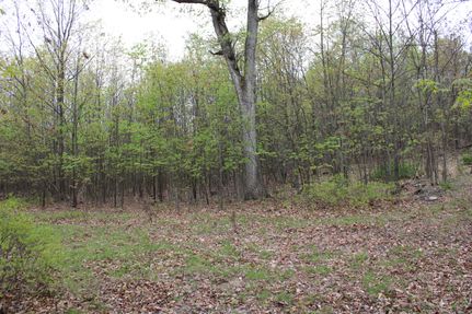 Recreational Property in Hampshire County, West Virginia