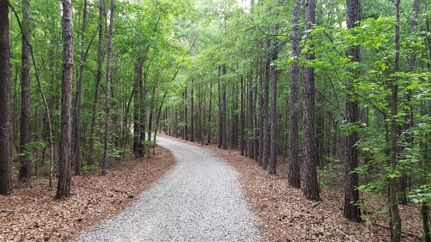 Timberland Property in Randolph County, Georgia
