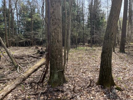 Recreational Property in Indiana County, Pennsylvania