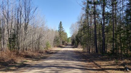 Farm and Ranch in Forest County, Wisconsin