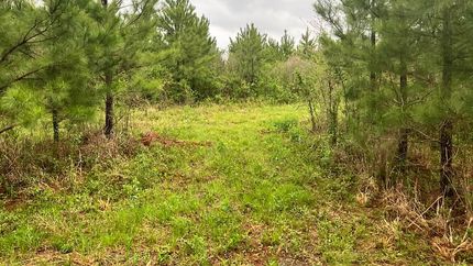 Undeveloped Land in Red River County, Texas