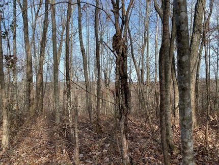 Farm and Ranch in Grundy County, Tennessee