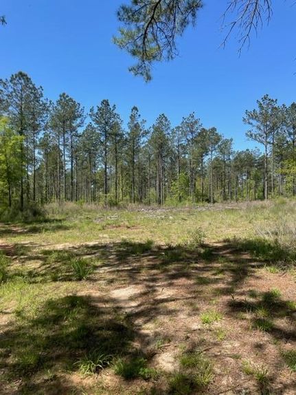 Farm and Ranch in Marion County, Mississippi