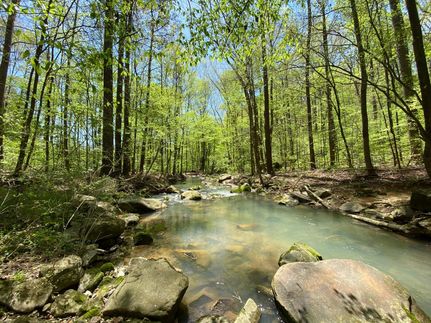 Undeveloped Land in Morgan County, Alabama