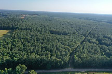 Timberland Property in Saint Helena Parish, Louisiana