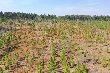 Land in Taylor County, Georgia