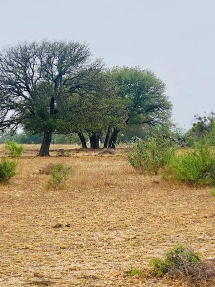 Undeveloped Land in San Saba County, Texas