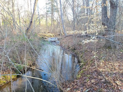 Timberland Property in Campbell County, Virginia