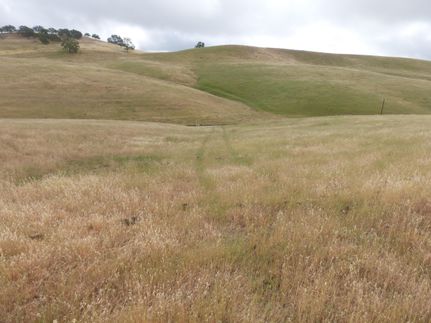 Undeveloped Land in Monterey County, California