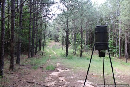 Farm and Ranch in Attala County, Mississippi