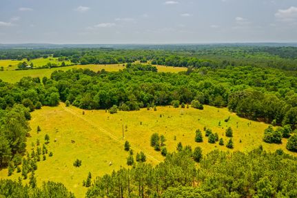 Recreational Property in Henderson County, Texas