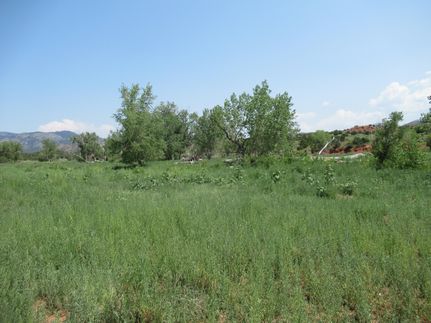 Horse Property in Fremont County, Colorado