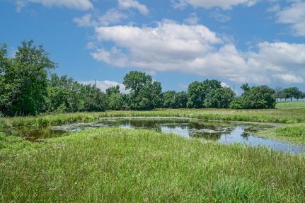 Undeveloped Land in Grimes County, Texas
