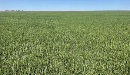 Farm and Ranch in Kearny County, Kansas
