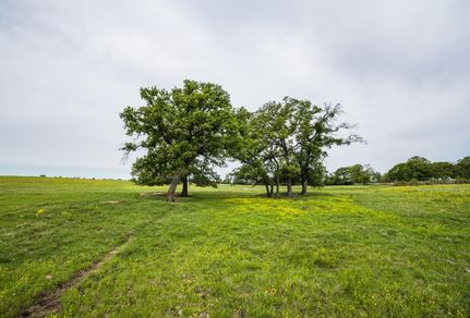 Undeveloped Land in Robertson County, Texas