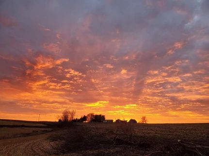 Land in Fillmore County, Minnesota