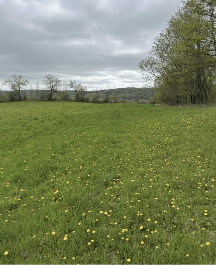 Recreational Property in Madison County, New York
