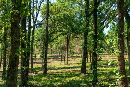 Land in Wood County, Texas