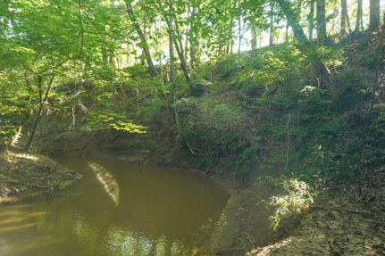 Undeveloped Land in Nacogdoches County, Texas