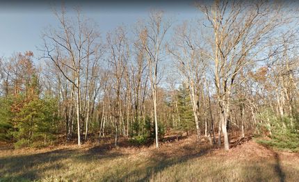 Undeveloped Land in Manistee County, Michigan
