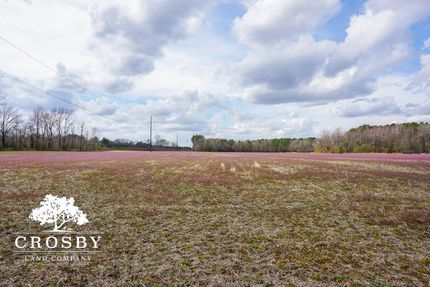 House in Darlington County, South Carolina