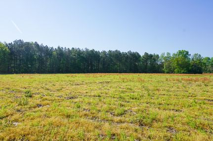 Hunting Property in Orangeburg County, South Carolina