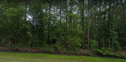 Farm and Ranch in Putnam County, Florida