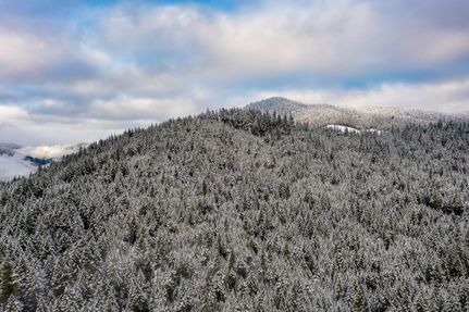 Undeveloped Land in Josephine County, Oregon
