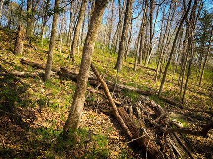 Homesite in Benton County, Missouri