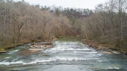 Timberland Property in Jefferson County, Alabama