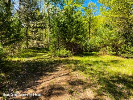 Timberland Property in Marathon County, Wisconsin