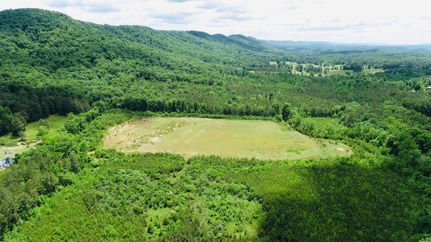 Undeveloped Land in Walker County, Georgia