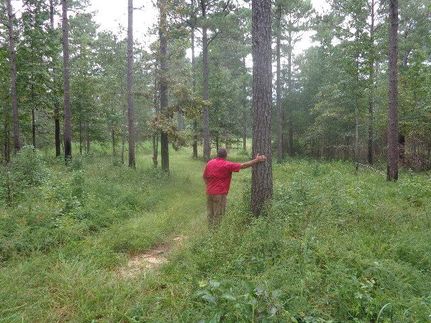 Farm and Ranch in Macon County, Alabama