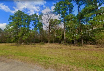 Undeveloped Land in Trinity County, Texas