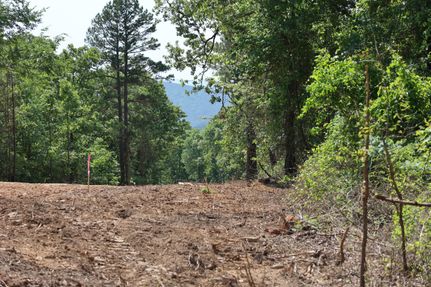 Land in Le Flore County, Oklahoma