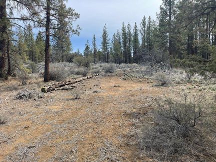 Undeveloped Land in Klamath County, Oregon