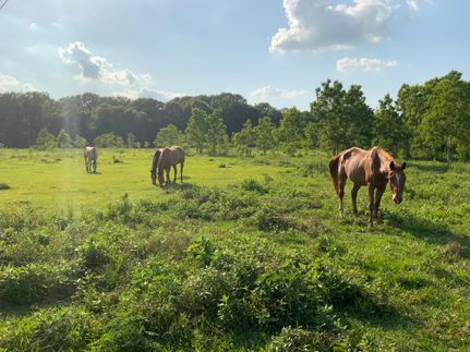 Horse Property in Acadia Parish, Louisiana