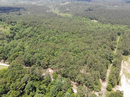 Hunting Property in Jones County, Mississippi