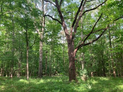 Recreational Property in Copiah County, Mississippi