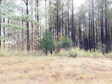 Land in Henderson County, Tennessee