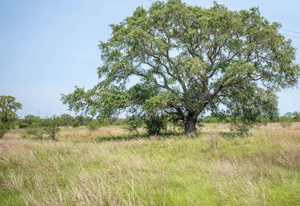 Recreational Property in Dewitt County, Texas
