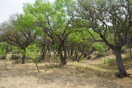 Timberland Property in McCulloch County, Texas