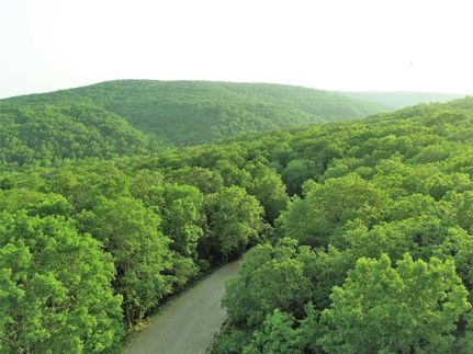 Farm and Ranch in Washington County, Arkansas