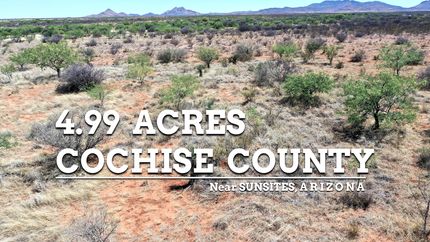 Timberland Property in Cochise County, Arizona