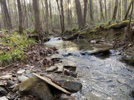 Recreational Property in Walker County, Alabama